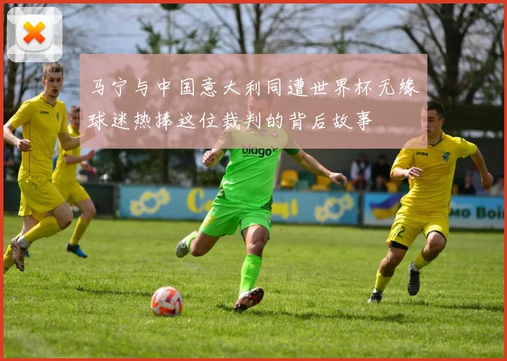 马宁与中国意大利同遭世界杯无缘球迷热捧这位裁判的背后故事